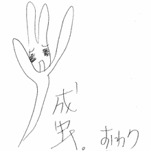 「成虫。」
おわり