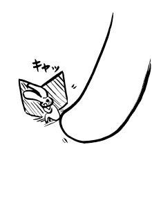 キャッ